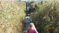 IMG_2552.jpg, 26kB